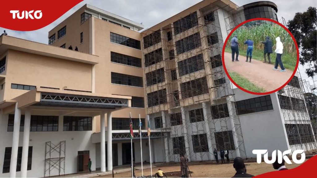 Trans Nzoia: les abeilles perturbent un nouveau siège social pour la démarcation des terres