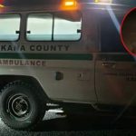 Turkana: 1 tué dans un accident impliquant un chameau, Probox le long de Kakuma-Lodwar Road