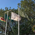 ZimParks successfully relocates 74 wildlife to revive Matusadona