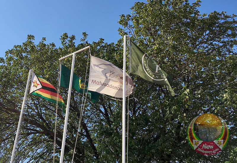 ZimParks successfully relocates 74 wildlife to revive Matusadona