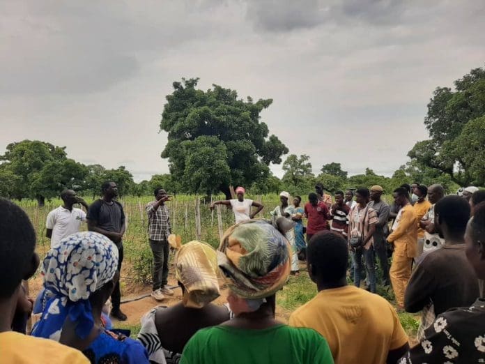 Demeter Ghana entraîne 100 agriculteurs