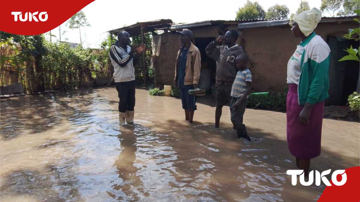 Des centaines de locaux trans nzoia déplacés alors que la rivière Sabwani casse ses rives