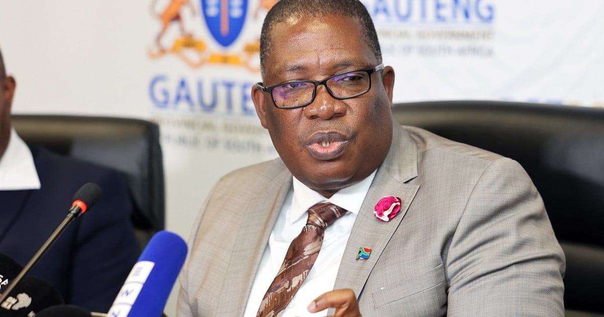 Gauteng Govt met de côté R50M pour un programme pour donner aux chômeurs les compétences de jeunesse nécessaires à l'État