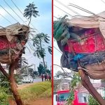 Inquiétude en tant que Nairobi Man construit une cabane arbre de fortune par le bord de la route: "Huyu Tumsaidie Aje"
