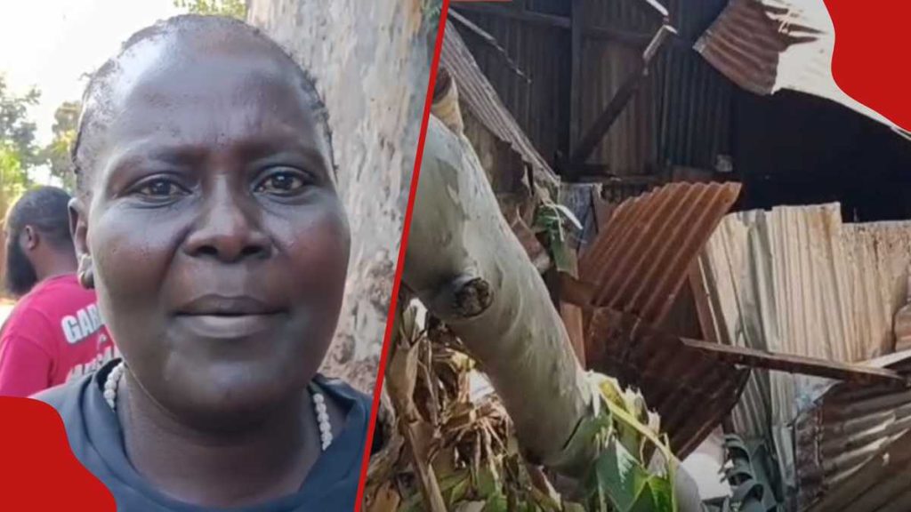Kirinyaga: Le chagrin comme 2 frères et sœurs sont écrasés à mort après que l'arbre de 60 ans tombe chez eux