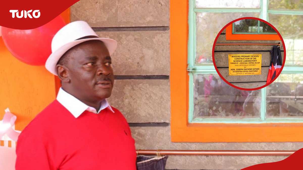 Kirinyaga: Puzzle en tant que député découvre le laboratoire scientifique qu'il était sur le point de lancer a été volé