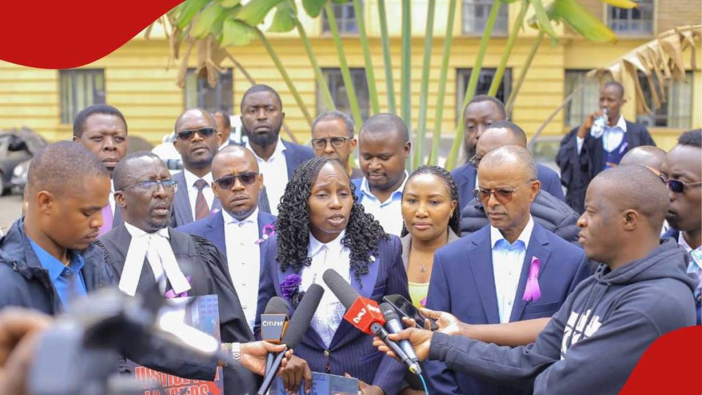 Kyalo Mbobu: Faith Odhiambo, Ipoa Boss Issack Hassan Les avocats principaux en protesté dans le CBD