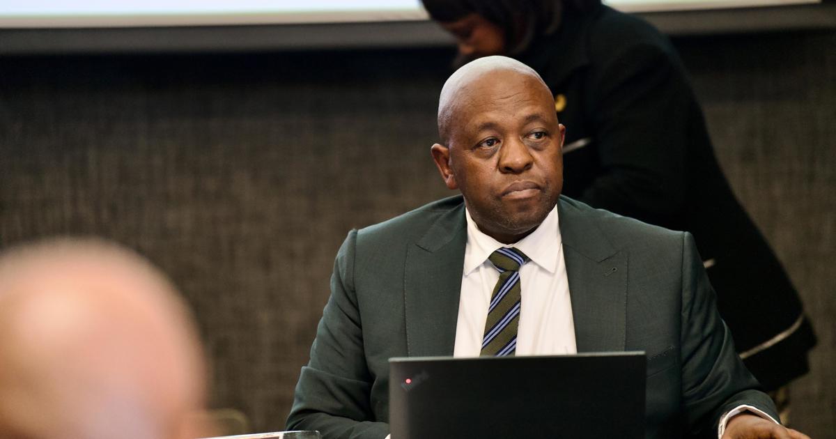La police doit se conformer à la commission Madlanga sur les dockés de KZN, mais affirme que les enquêtes doivent continuer