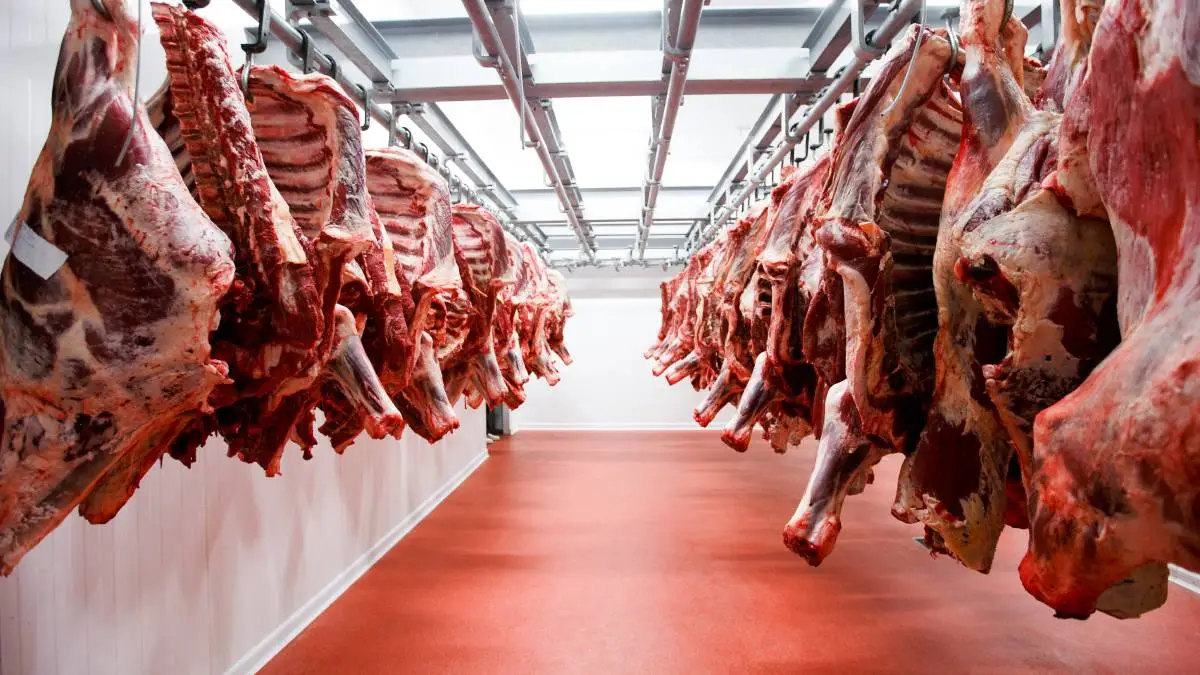 Zimbabwe targets Asian beef markets, scales up foot and mouth disease surveillance