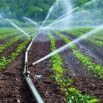 Agriculture d'irrigation