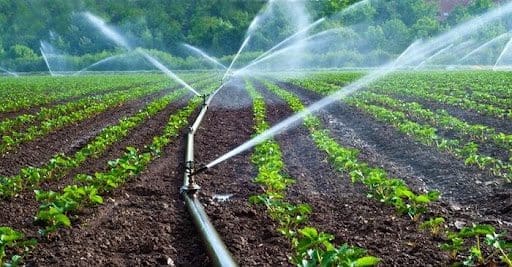 Agriculture d'irrigation