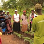 Carbon Green reaffirms commitment to Kariba REDD+ Project on forests conservation amid confirmation of carbon credits validity, but demands clarity from regulator 