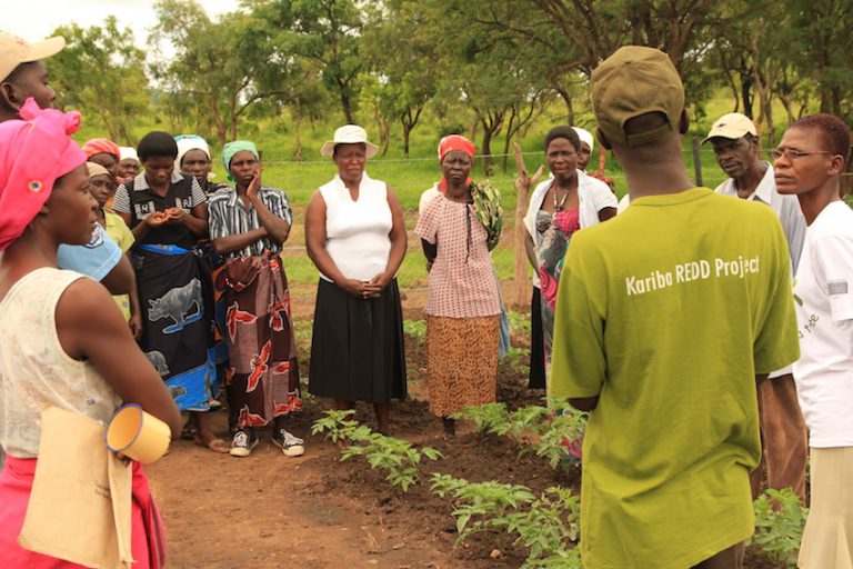 Carbon Green reaffirms commitment to Kariba REDD+ Project on forests conservation amid confirmation of carbon credits validity, but demands clarity from regulator