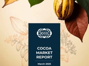 Tendances du marché du cacao