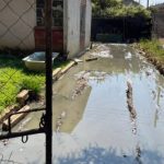 Mufakose residents forced to vacate homes as raw sewage floods yards