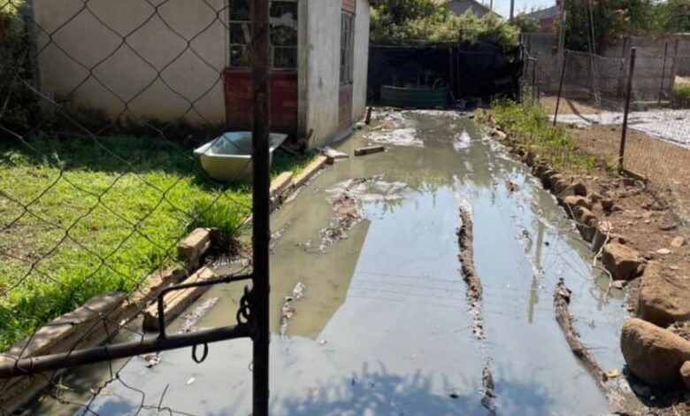 Mufakose residents forced to vacate homes as raw sewage floods yards