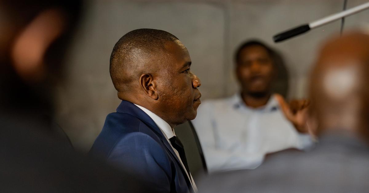 Mkhwanazi allègue que l'ex-ministre de la police Nathi Mthethwa a forcé l'ancien chef du renseignement pour retirer des dossiers pénaux contre Richard Mdluli