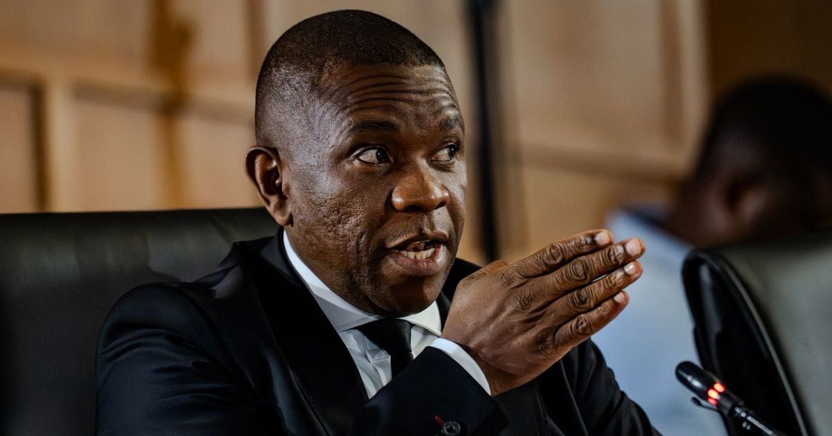 Mkhwanazi révèle que l'ancien ministre de police Bheki Cele aurait tenté d'interférer dans la question disciplinaire de la police interne