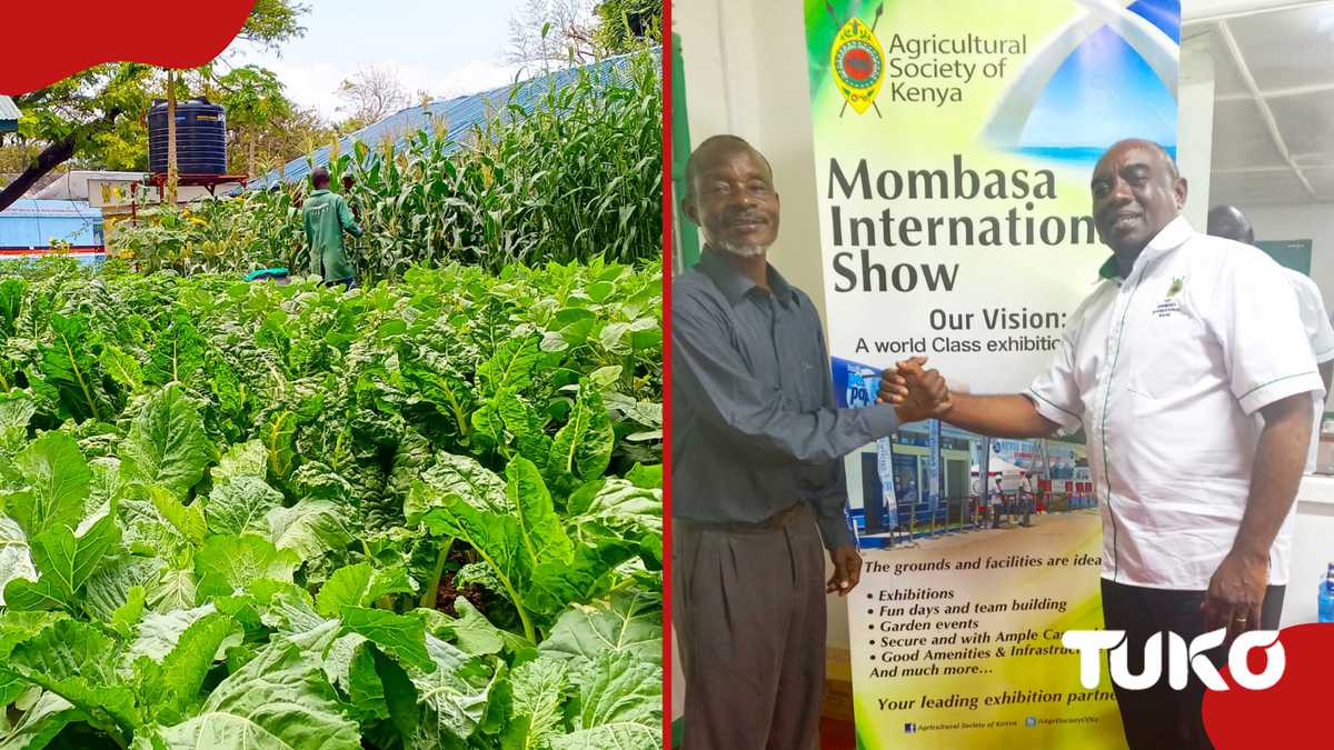 Mombasa Ask Show augmente les frais d'entrée car plus de 1 000 exposants confirment la participation
