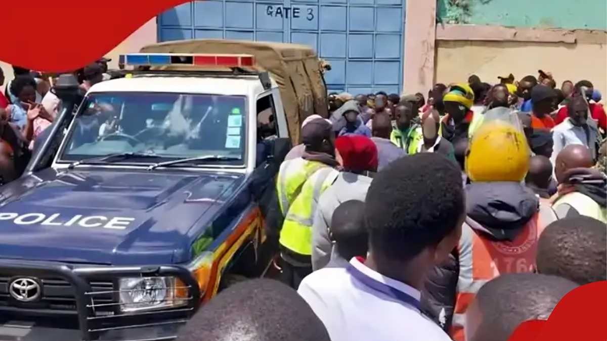 NAIROBI: Police Arrête 14 membres de gangs mineurs au milieu de préoccupations croissantes dans le domaine d'Umoja