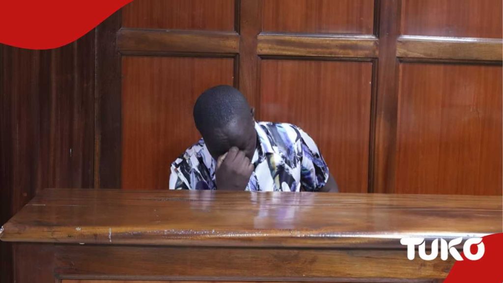 Nairobi Femme qui a embauché une voiture utilisée dans des voleurs plaide pour la clémence: "Je paie un prêt"