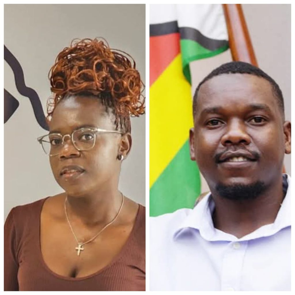 NewZimbabwe.com senior journalists elected to labour union’s national executive
