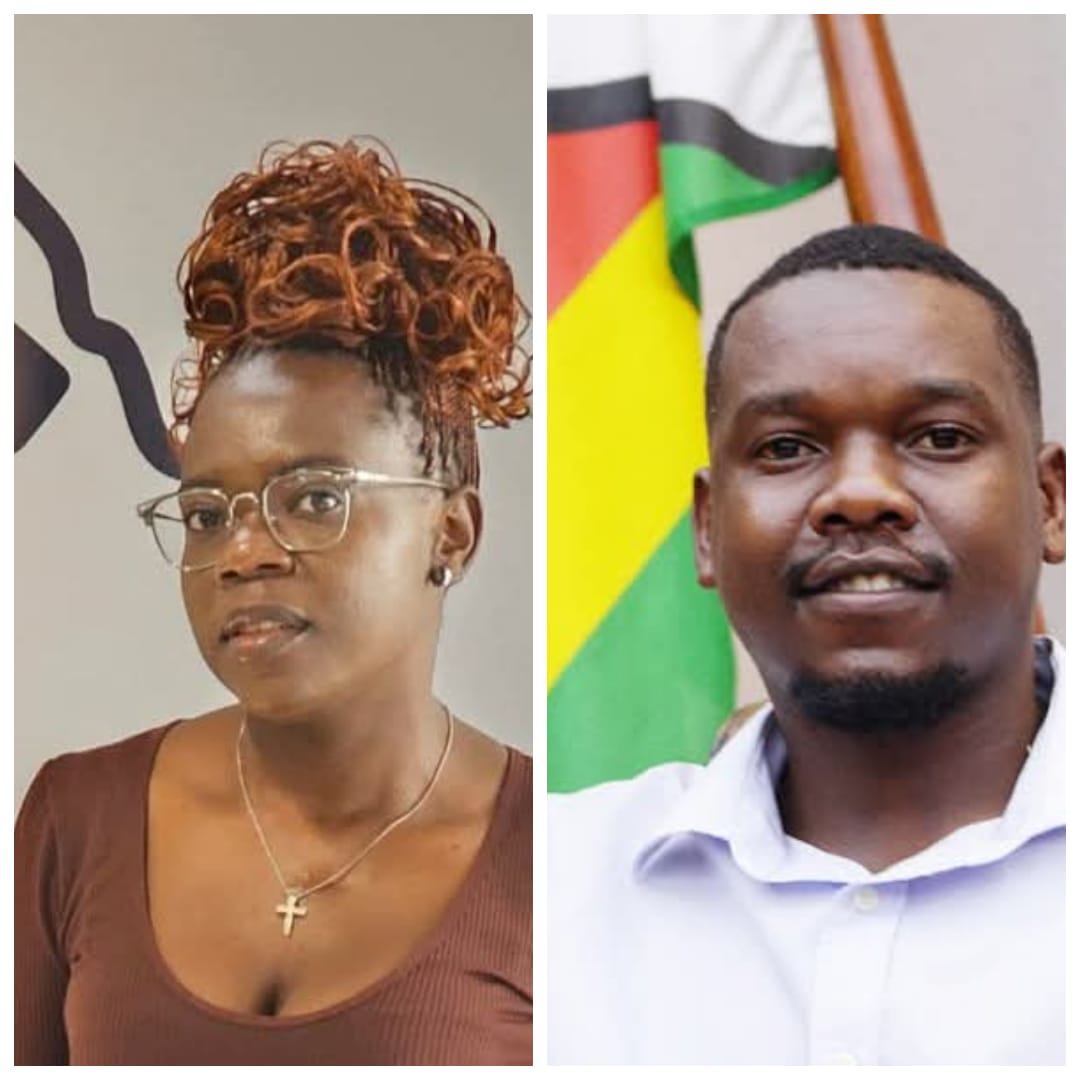 NewZimbabwe.com senior journalists elected to labour union’s national executive