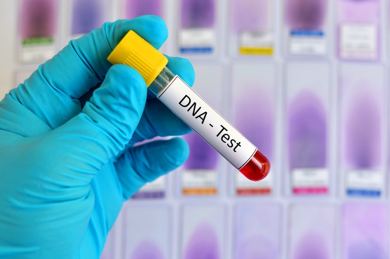 Parliament: Justice advocate pushes for mandatory DNA testing in maintenance cases