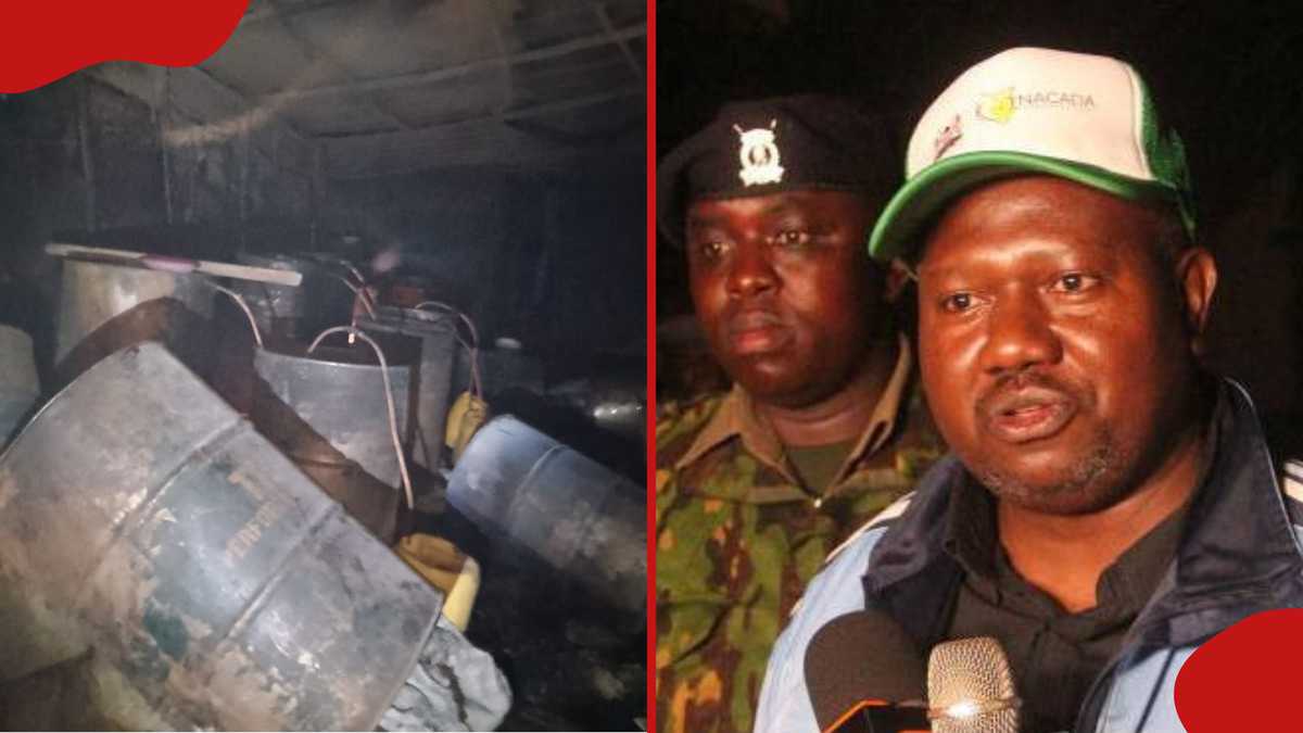 Raids de Nacada Kibra à 2 heures du matin, démantèle des distilleries de bière illicites cachées le long de la rive