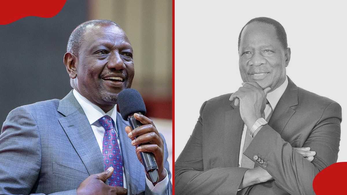 Dalmas Otieno: William Ruto nomme l'ancienne épouse de l'État de Plum.