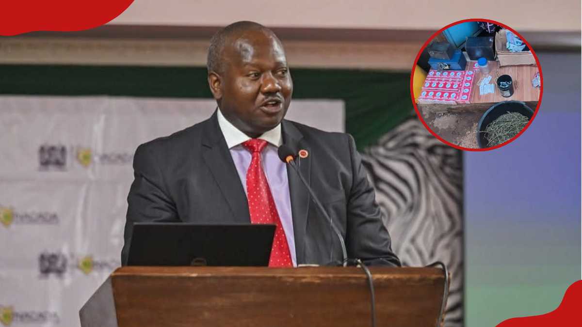 Kisumu : Un important réseau de drogue ciblant les étudiants universitaires démantelé lors d'un raid multi-agences
