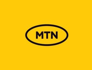 Logo Montagne
