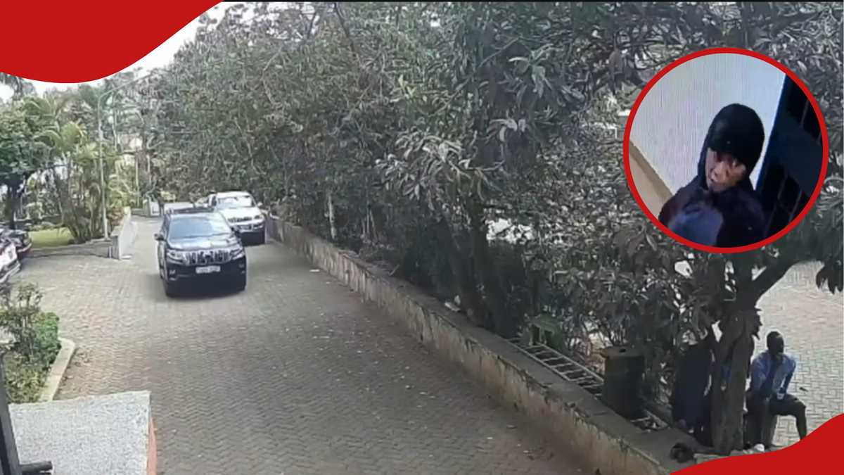 Nairobi: la peur comme CCTV capture des gangs dans des voitures de luxe qui volent des successions somptueuses