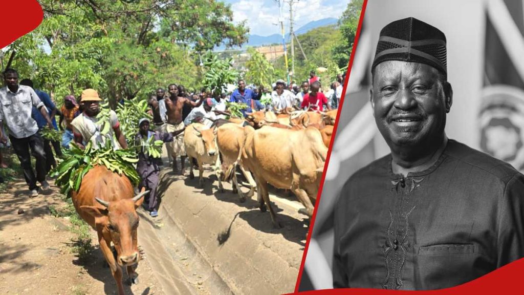 Raila Odinga : Les entreprises de Homa Bay et de Migori fermées alors que les résidents pleurent le chef de l'ODM