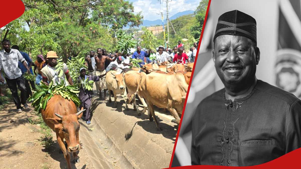 Raila Odinga : Les entreprises de Homa Bay et de Migori fermées alors que les résidents pleurent le chef de l'ODM