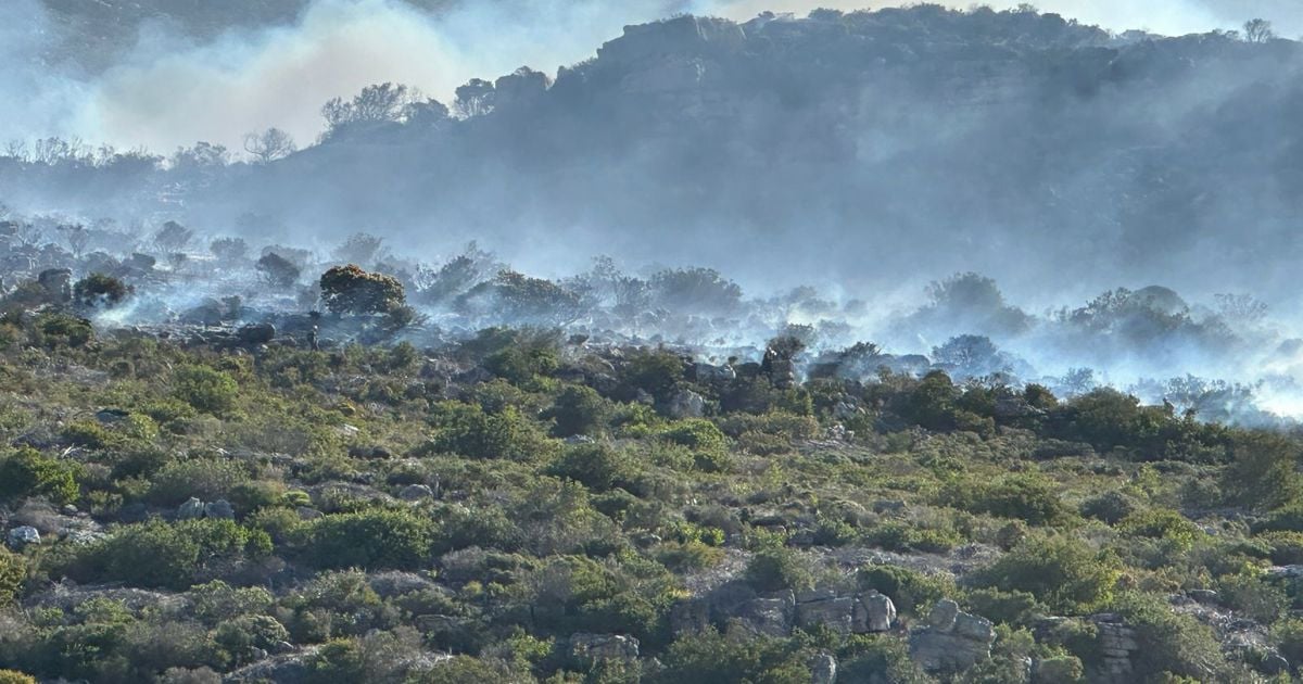 SANParks exhorte le public à éviter la zone de Jonkersdam suite à un incendie de forêt