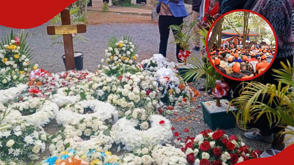 Vidéo : Drame lors d'une réunion de l'ODM alors qu'un homme réprimande les députés pour s'être abrités alors que Raila est « sous la pluie »