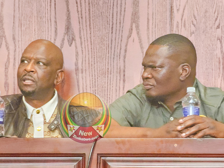 US$7 million goats tender fraud: Chimombe, Mpofu’s sentencing delayed