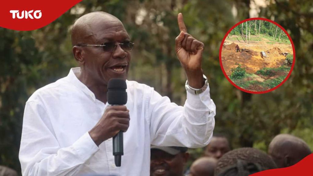 Kakamega : Boni Khalwale s'exprime sur les projets présumés de relocalisation des habitants après la découverte de l'or KSh 683B