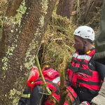 Le corps d'une femme récupéré dans la rivière KZN alors que la recherche de deux autres corps se poursuit