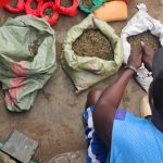NACADA arrête un trafiquant de drogue notoire à Naivasha avec une valeur de Bhang supérieure à 2 millions de KSh