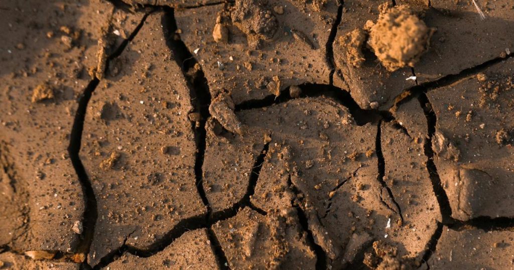 Toujours marquée par le « Jour Zéro », Cape Town observe avec inquiétude la chute des niveaux des barrages
