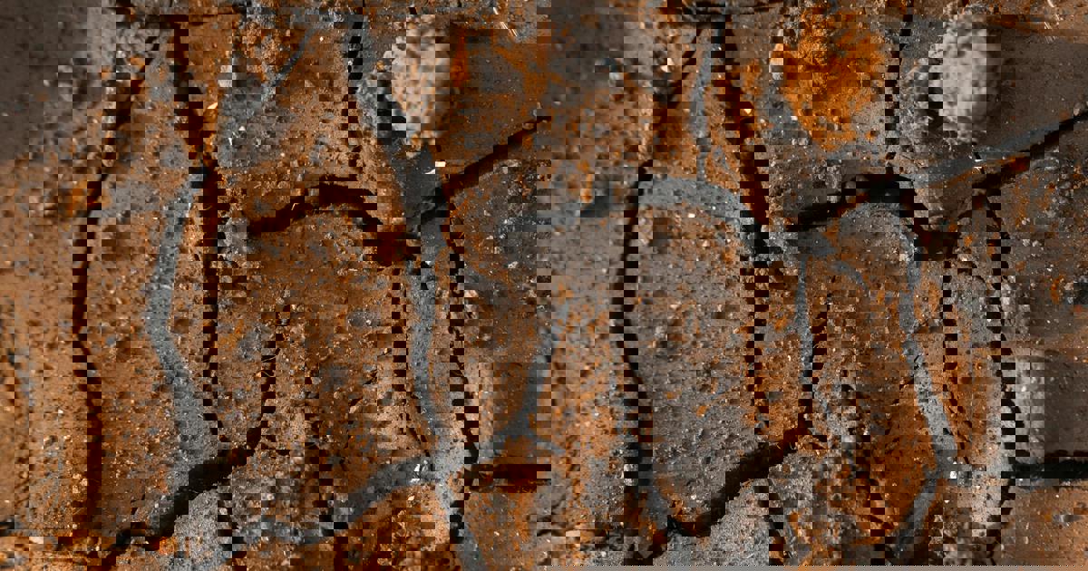 Toujours marquée par le « Jour Zéro », Cape Town observe avec inquiétude la chute des niveaux des barrages