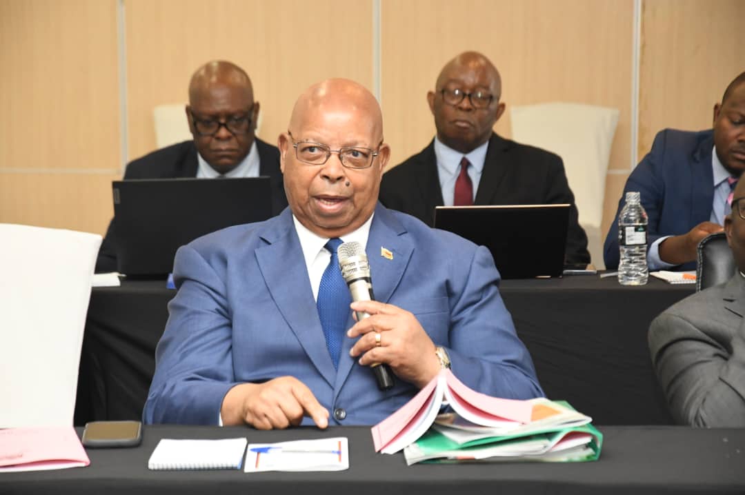 Mudenda facilite le programme de renforcement des capacités parlementaires au Malawi
