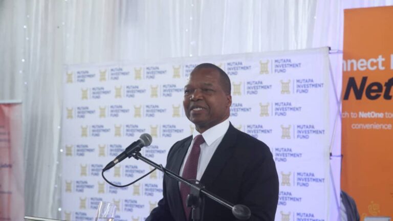 Le Fonds d'investissement Mutapa n'est pas une machine à piller - Mangudya