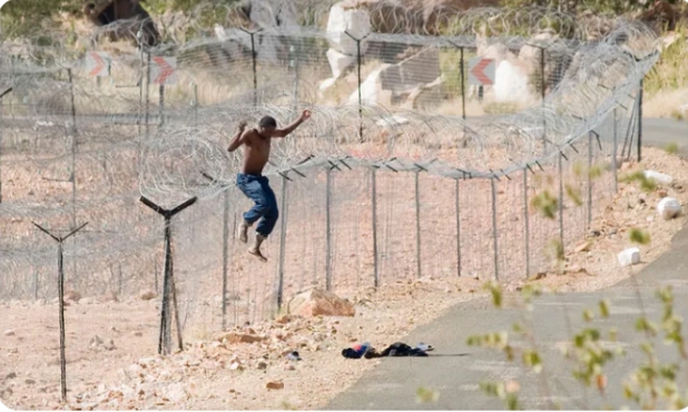 Les Zimbabwéens parmi les principales entrées illégales en Afrique du Sud pendant la période des fêtes : Autorité de gestion des frontières