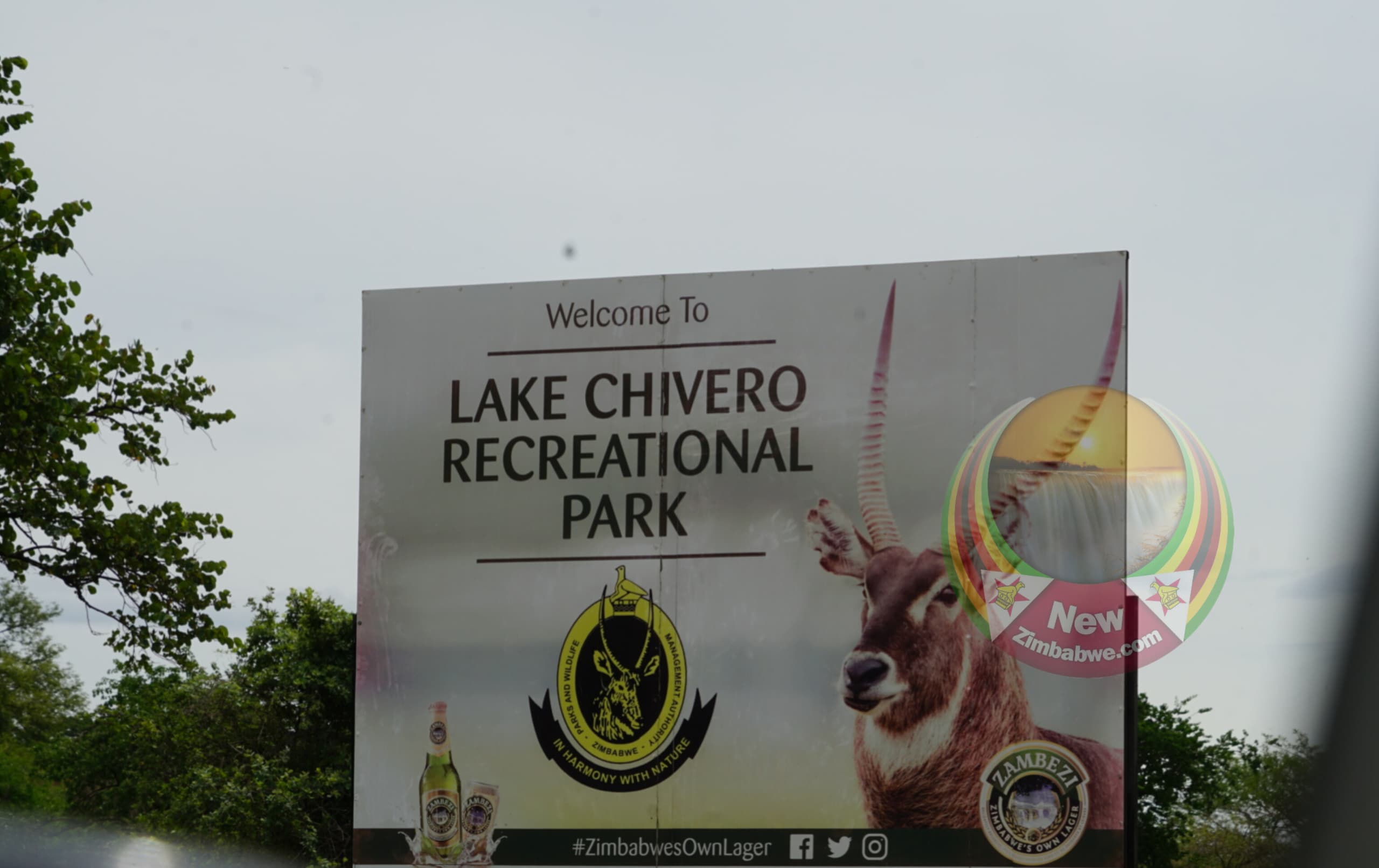 Kuimba Shiri réclame 86 000 dollars de dommages et intérêts en raison de la pollution du lac Chivero alors que le tribunal annule le conseil de Harare et la défense du ZINWA