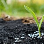 La mine Dorowa devrait produire des engrais en mai