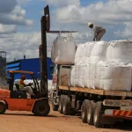 L'interdiction imposée au Zimbabwe sur les exportations de minéraux bruts met les entreprises chinoises sous pression