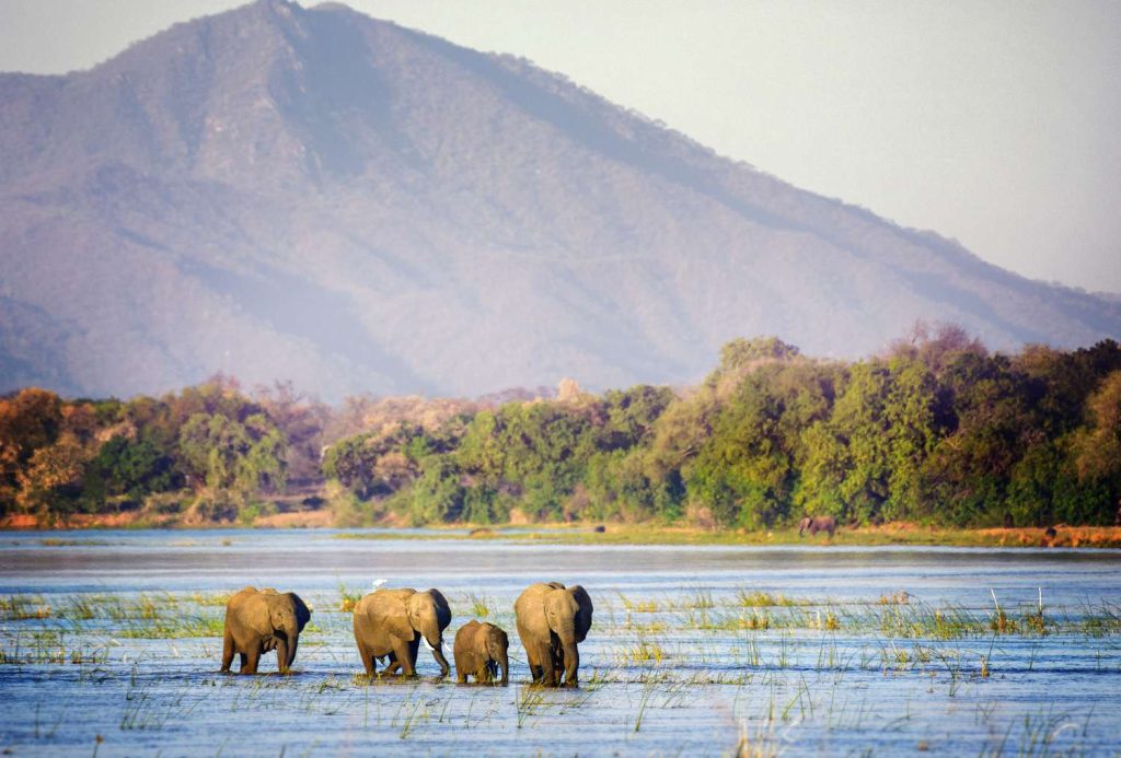 ZimParks émet un avis de voyage sur Mana Pools alors que les pluies endommagent les ponts et les routes